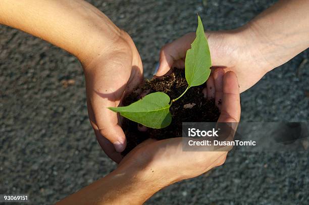 Nad Natureza Humana - Fotografias de stock e mais imagens de Folha - Folha, Fotografia - Imagem, Gesticular