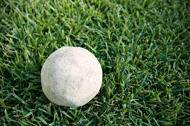 Spheres made of concrete and desertic soil in the forest trees. (3d render)