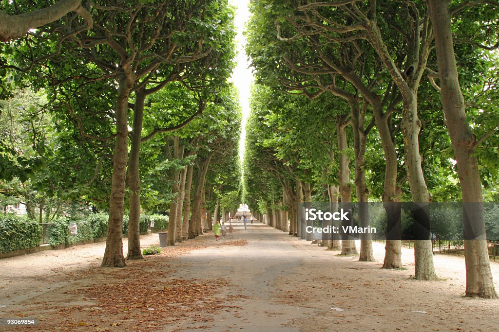 Tree Lined Walkway in Jardin des Plantes, Paris, France Tree lined walkway in Paris, France park (Jardin des Plantes) with unrecognizable pedestrians, showing rows of lush trees creating symmetry with central line of sunlight. Paris - France Stock Photo