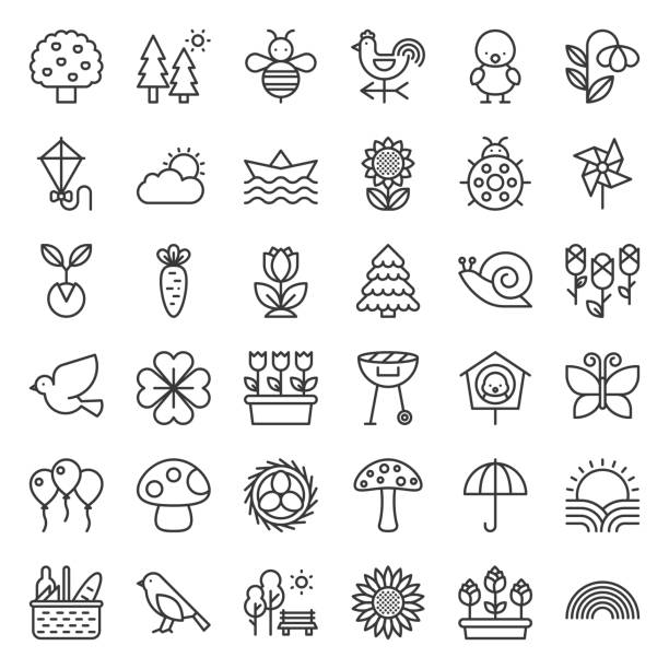 Picnic, nature and spring icon set, such as picnic basket, floral, bird, rainbow, bird nest, playing kite, sun raising, outline icon Picnic, nature and spring icon set, such as picnic basket, floral, bird, rainbow, bird nest, playing kite, sun raising, outline icon clover icon stock illustrations