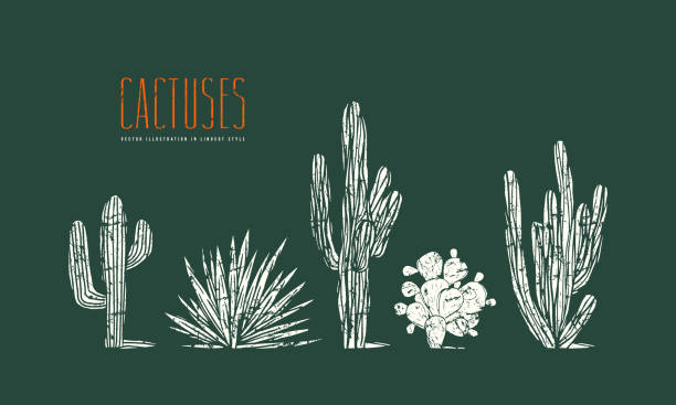 Stock vector set of hand drawn cactus. Illustration in linocut style. Different forms of plants with rough texture. Print on green background