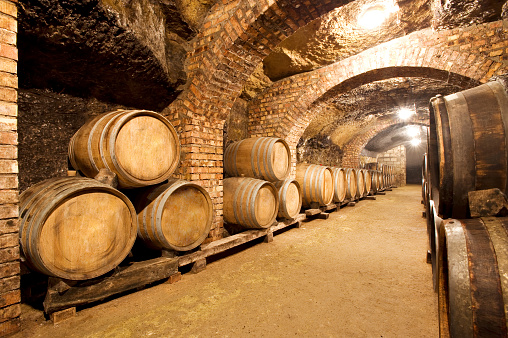 Wine Cellar with large wine barrels