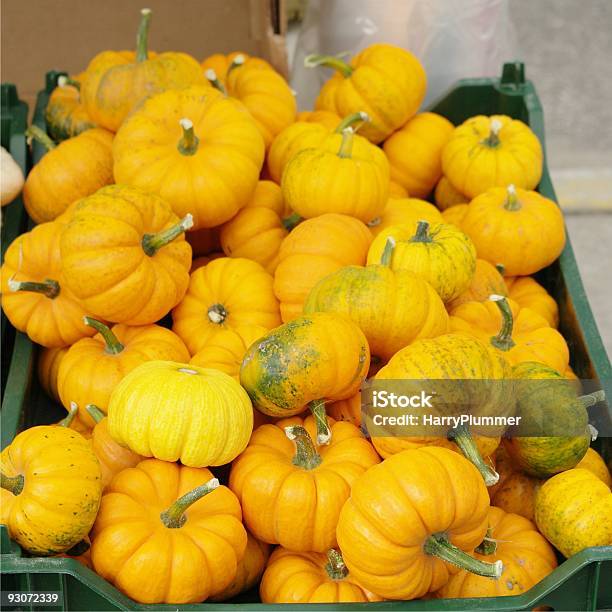 Tiny Pumpkins Stock Photo - Download Image Now - Autumn, Color Image, Farmer's Market