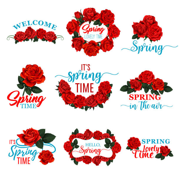 Hello Spring floral frame icon of red rose flower Hello Spring floral frame icon set with red rose flower. Floral wreath of Springtime blossom with red flower, green leaf and branch isolated badge for Spring Season holiday design rose cartoon stock illustrations