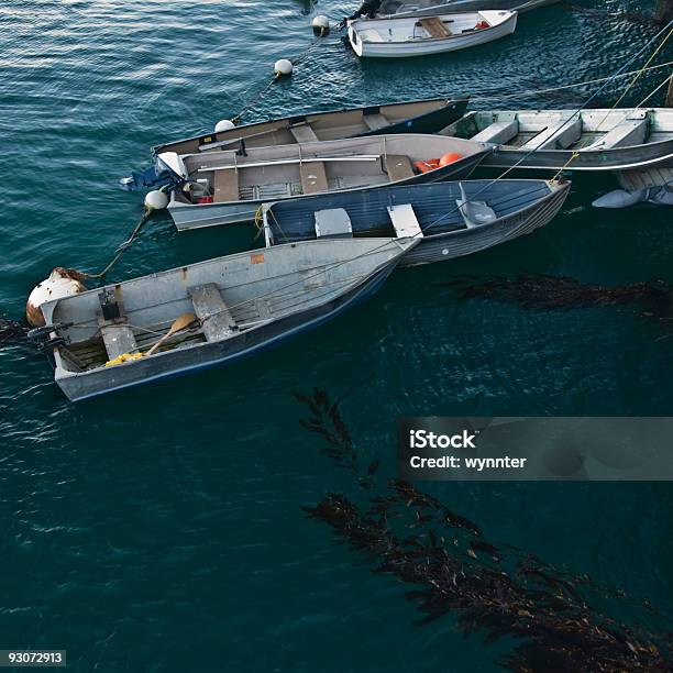 Pequenas Embarcações Presa A Um Cais - Fotografias de stock e mais imagens de Alga de grande porte - Alga de grande porte, Amarrado, América do Norte