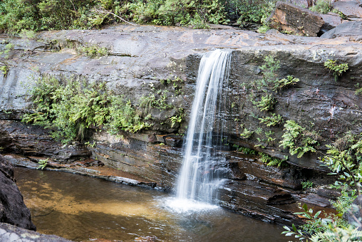 Middle of Wentworth Falls, Valley of the Waters, Blue Mountains National Park, Australia