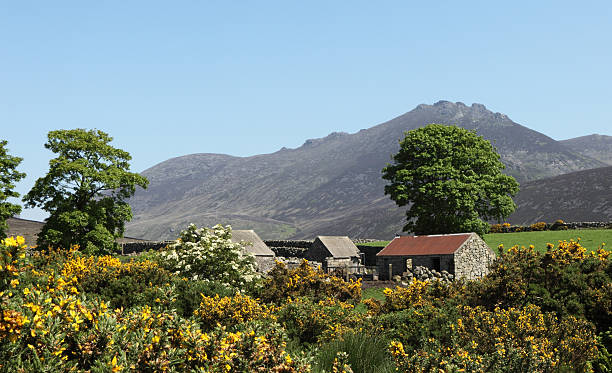 istock Abandoned Mournes Farmhouse 93073291