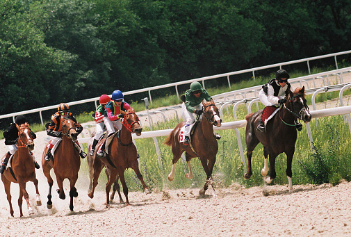 Horse race for the prize Big Summer in Pyatigorsk,Northern Caucasus,Russia.