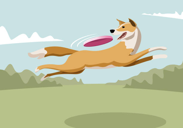 Dog catching frisbee in jump Dog catching frisbee in jump plastic disc stock illustrations