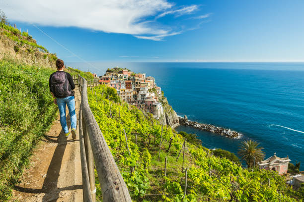Woman hiking on the path in vineyard near Manarola village. Cinque Terre. Liguria, Italy. Woman hiking on the path in vineyard near Manarola village. Cinque Terre. Liguria, Italy. spezia stock pictures, royalty-free photos & images