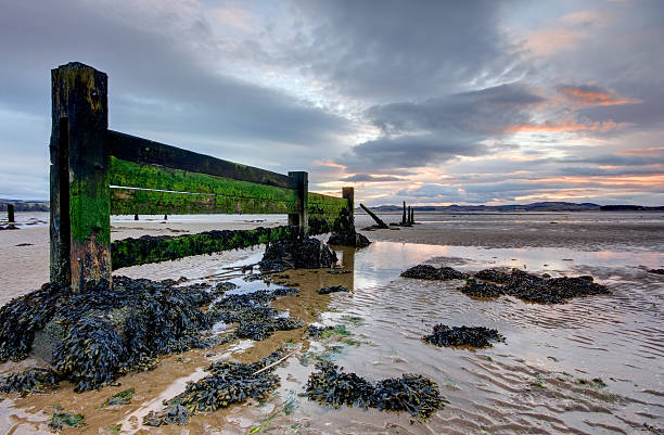 istock Seaside groynes during low tide at sunset 93075046