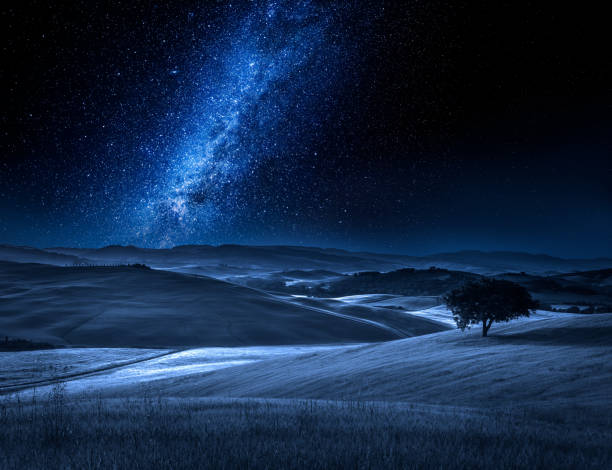 istock Alone tree on field at night with milky way 930751018