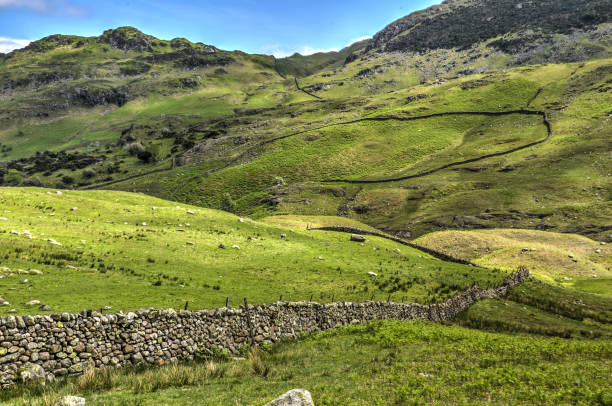 istock Stone walls near Coniston 930758560