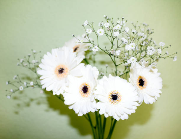istock white flowers in vase , blurred selective focus 930758660