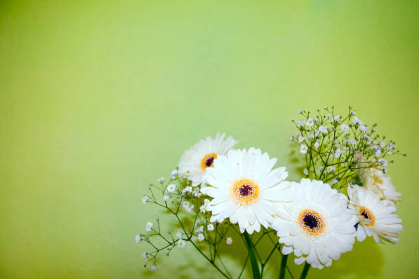 istock white flowers in vase , blurred selective focus 930758834