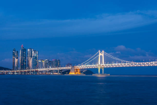 istock Sea Bridge and Modern City night view 930765644