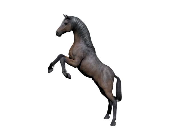 istock White and grey horse on white background - 3d rendering 930765858