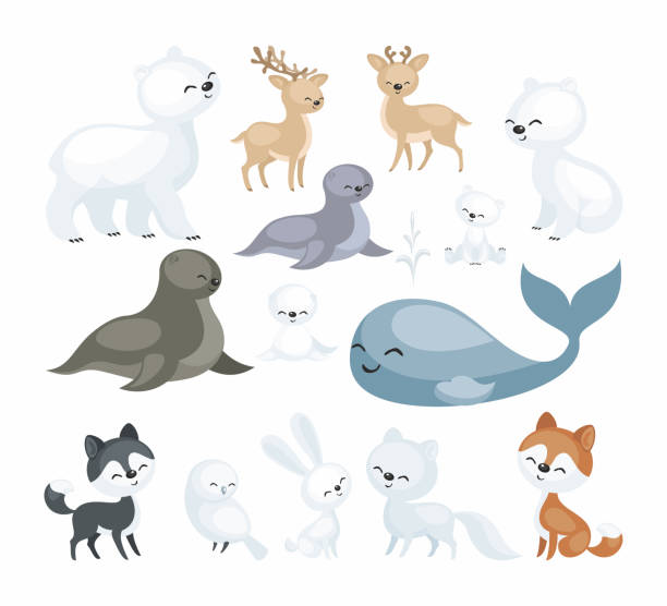 Arctic Animals Set Stock Illustration - Download Image Now - Animal, Animal  Wildlife, Arctic - iStock