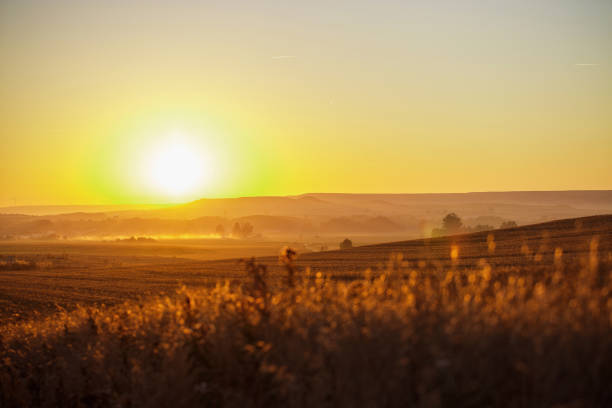 istock Amazing sunrise on camino 930769068