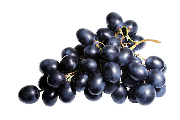 Isolated bunch of black grapes on a white background