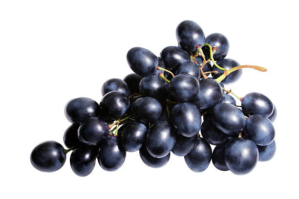 Isolated bunch of black grapes on a white background See more in lightbox: Food ingridients on white background merlot grape photos stock pictures, royalty-free photos & images