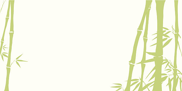 bambus-hintergrund - bamboo green frame sparse stock-grafiken, -clipart, -cartoons und -symbole