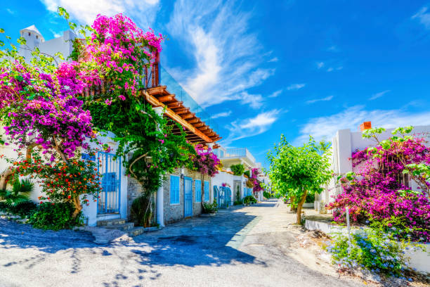 Bodrum Town in Turkey Bodrum street view in Turkey aegean sea photos stock pictures, royalty-free photos & images