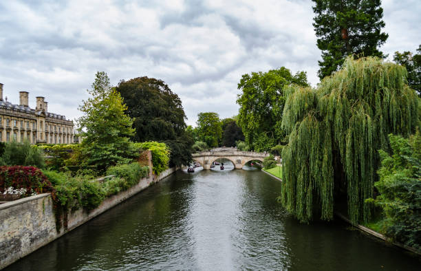 istock the river in the park 930782082