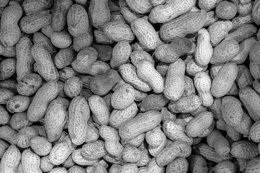 Roasted peanuts macro black and white background