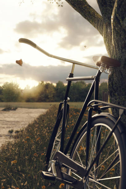 istock 3d rendering of leaned black bicycle at tree in the meadow gras landscape in the evening sunlight 930788036