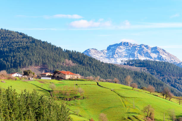 turismo rural en los campos de país vasco, españa - álava fotografías e imágenes de stock