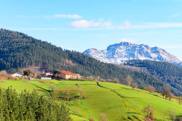 rural tourism at basque country fields, spain - álava imagens e fotografias de stock