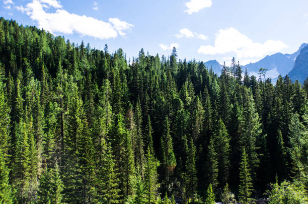 istock The beautiful mountain scenery 930789960