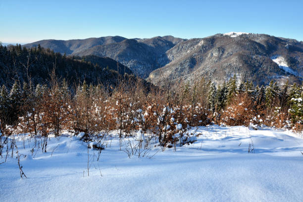 istock Winter landscape in Bucegi Mountains, Romania 930794730