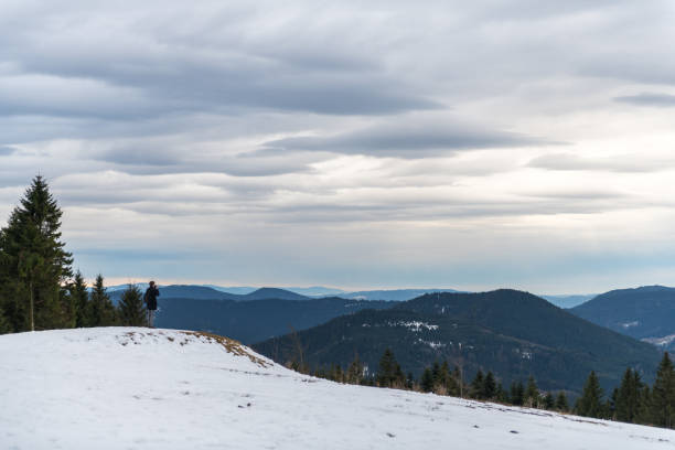 istock Panorama view of the black forrest in germany 930809416