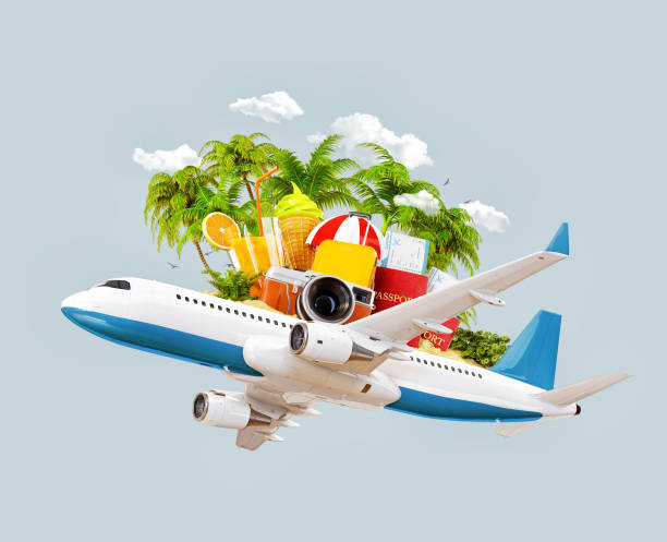istock airplane and tropical palm on a paradise island 930810696