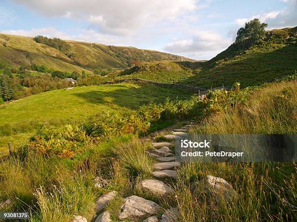 Photo libre de droit de Watendlathlake District Royaumeuni banque d'images et plus d'images libres de droit de Arbre - Arbre, Automne, Bois