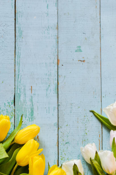 istock Background, greeting card: bouquet of multicolored tulips on a light background. Layout, mocap, for your text mother's day, copyspace. 930823710