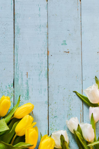 istock Background, greeting card: bouquet of multicolored tulips on a light background. Layout, mocap, for your text mother's day, copyspace. 930823764