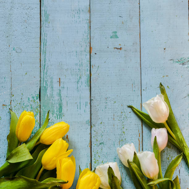 istock Background, greeting card: bouquet of multicolored tulips on a light background. Layout, mocap, for your text mother's day, copyspace. 930823782