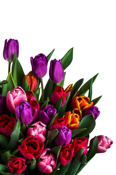 istock Bouquet with colorful tulips 930827848