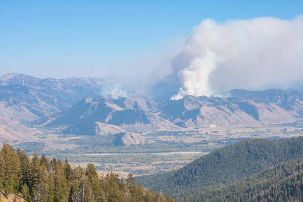 istock Forest Fire in the Grand Tetons 930832408