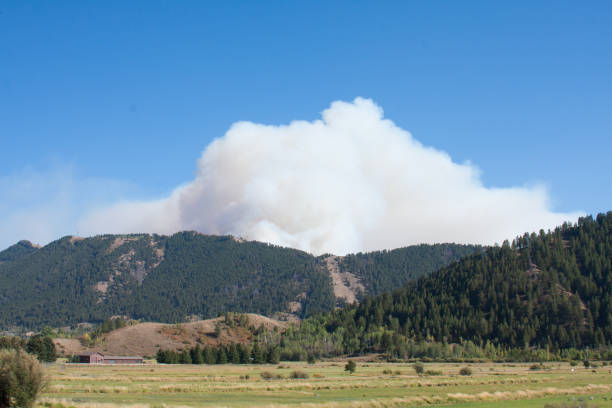 istock Forest Fire in the Grand Tetons 930832492