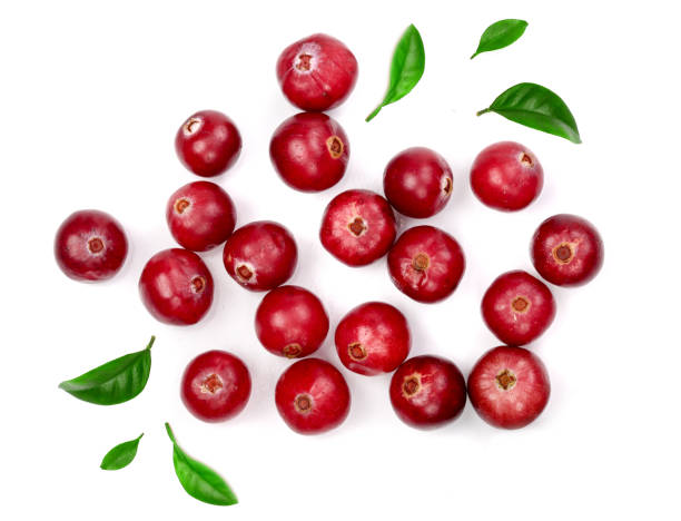 istock Cranberry with leaf isolated on white background closeup top view 930847748