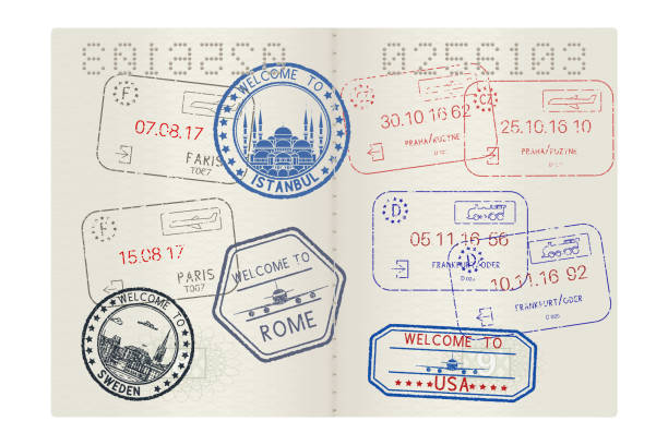 Passport pages with tourist international stamps Passport pages with tourist international stamps. Vector 3d illustration frankfurt stock illustrations