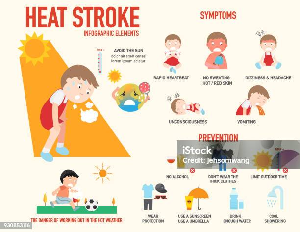 Heat Stroke Risk Sign And Symptom And Prevention Infographic Stock Illustration - Download Image Now