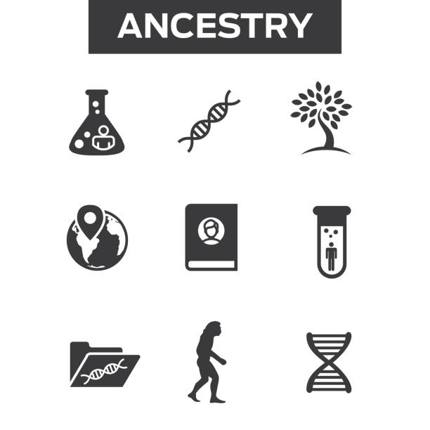 zestaw ikon pochodzenia lub genealogii z albumem drzewa genealogicznego, dna, zlewkami itp. - tree root family tree family stock illustrations