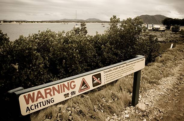 악어 경고용 팻말 스톡 사진