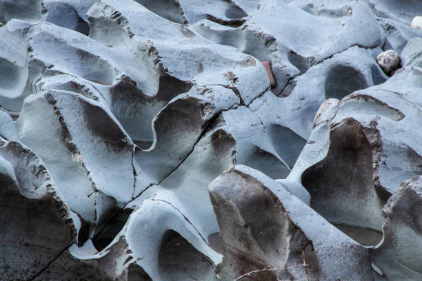 Fluted Rocks in Creek Bed, Glacier National Park