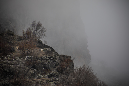 Panorama of the foggy winter landscape in the mountains with snow and rocks, Beautiful landscape of winter nature of Azerbaijan, Lahic, Big Caucasus